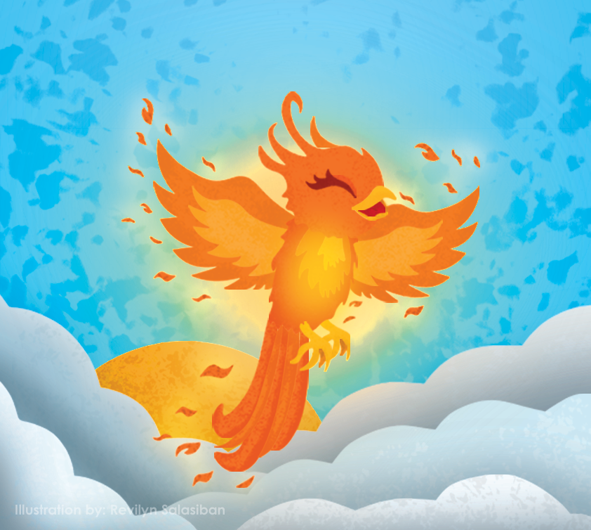 Portfolio Image